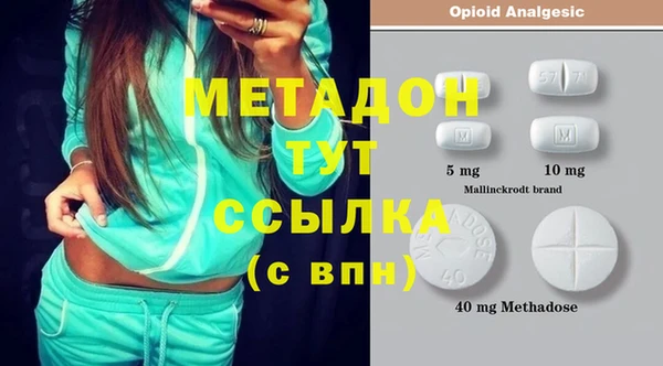 PSILOCYBIN Корсаков