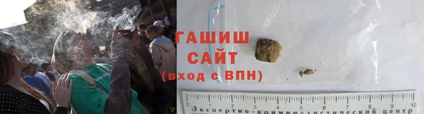 PSILOCYBIN Корсаков
