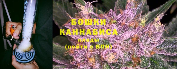 PSILOCYBIN Корсаков