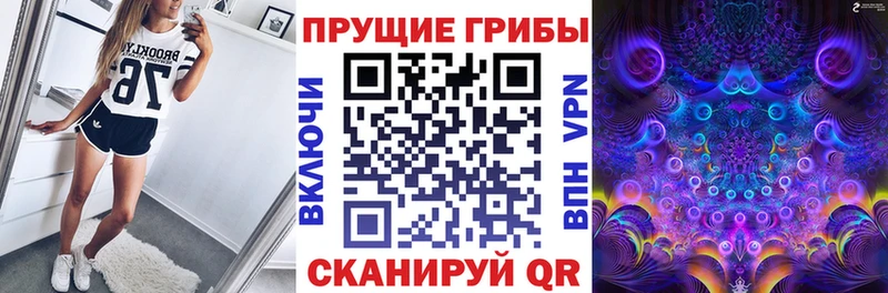 Купить  Королёв  Псилоцибиновые грибы Psilocybine cubensis 